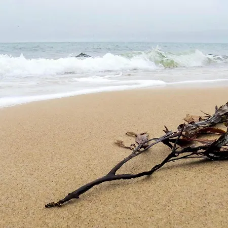 5 Person In Gilleleje-by Traum Casa vacanze Gilleleje