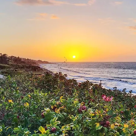 5 Person In Gilleleje-by Traum *